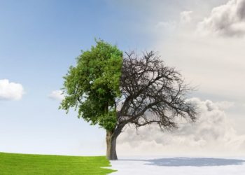 de ce sa apelez la terapia de cuplu