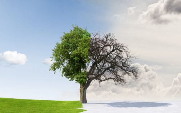 de ce sa apelez la terapia de cuplu